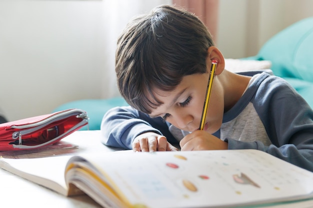 Garçon faisant ses devoirs à la maison