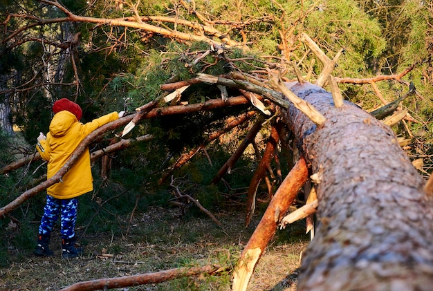 Un garçon fait une tente avec des branches dans la forêt