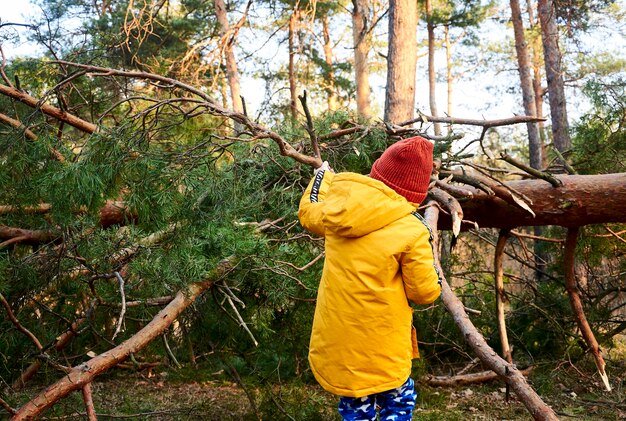 Un garçon fait une tente avec des branches dans la forêt