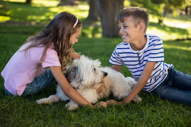 Garçon et fille avec chien dans le parc