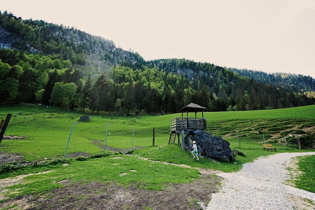 Le garçon grimpe sur la tour en bois au parc sauvage d'Untertauern Autriche