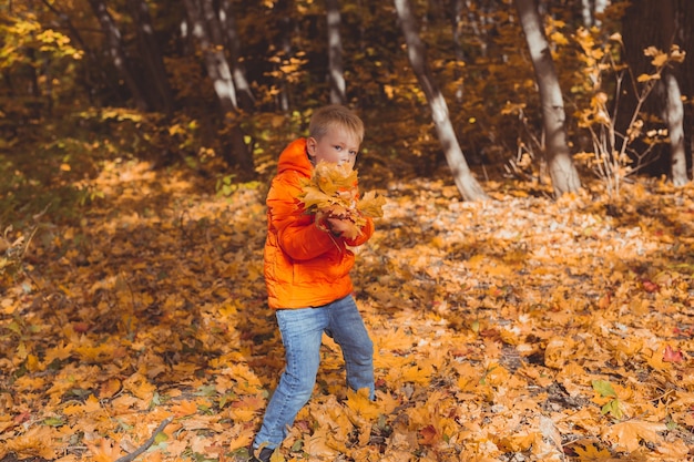 Un garçon jette des feuilles tombées sur un fond de paysage d'automne enfance automne et concept nature