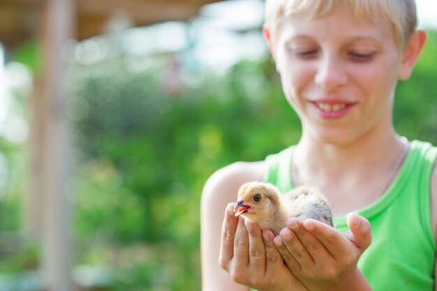 Garçon jouant avec des poulets dans le jardin