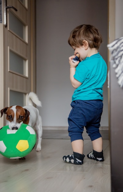 garçon jouer avec son chien jack russell terrier.