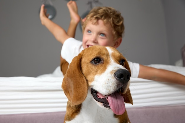 Un garçon joyeux étendit ses mains en position d'un avion barbotant sur le lit à côté de lui est assis un chien de compagnie de race Beagle Des amis inséparables un petit enfant et un chien jouent dans la chambre des enfants