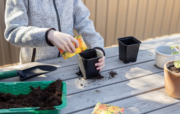 Garçon met des graines de plantes dans un pot de semis dans le concept d'arrière-cour de l'activité d'apprentissage de la croissance des plantes pour enfant d'âge préscolaire