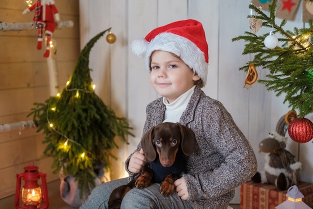 Garçon mignon en bonnet de noel et chiot teckel dans la chambre près de l'arbre de noël