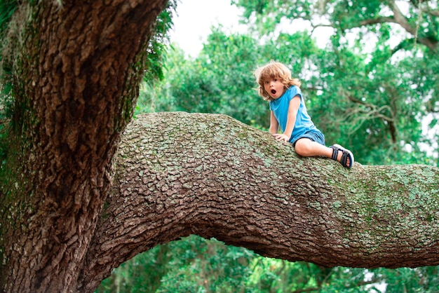 Garçon mignon d'enfants grimpant sur l'arbre