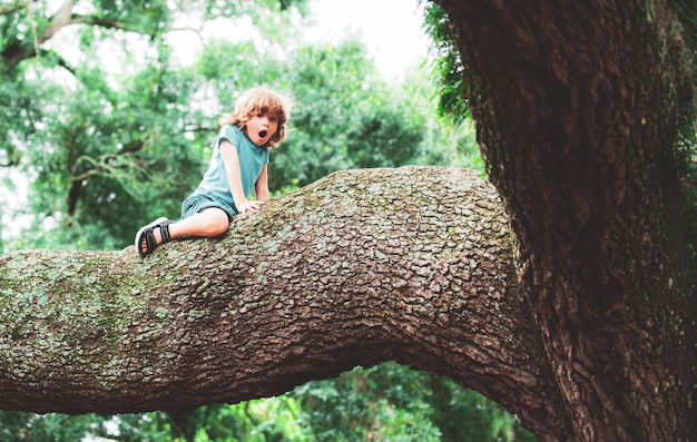 Garçon mignon d'enfants grimpant sur l'arbre