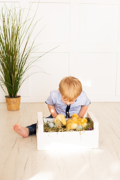 Garçon mignon d'enfants jouant avec des canards