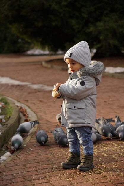 Un garçon mignon nourrissant des pigeons au parc par temps froid