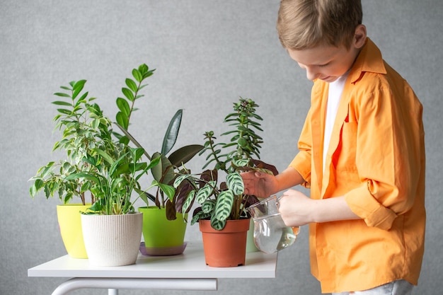 Un garçon mignon prend soin des plantes vertes d'intérieur Arrosage des fleurs