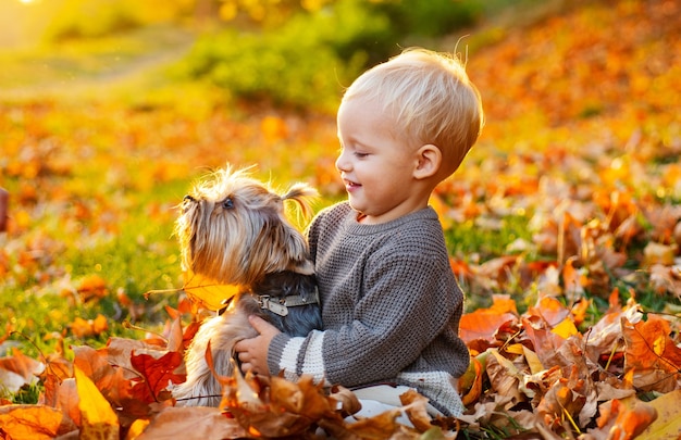 Garçon profiter de l'automne avec un chien