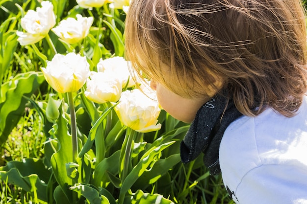 Un garçon qui sent les fleurs dans le champ