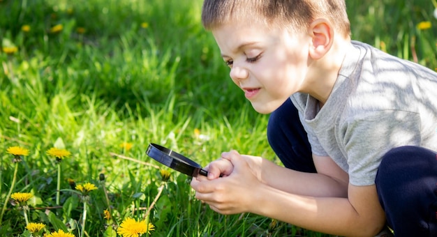 Le garçon regarde la fleur à travers une loupe