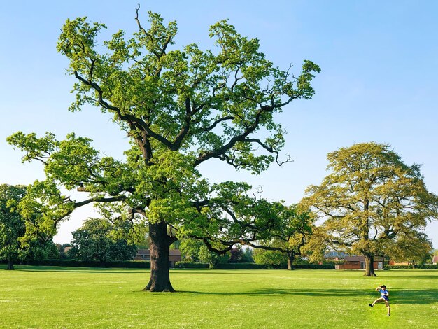 Photo un garçon sautant dans le parc.