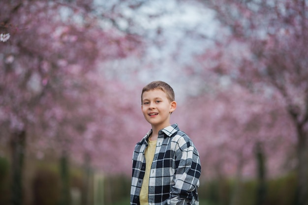 Un garçon se tient devant une rangée de cerisiers roses.