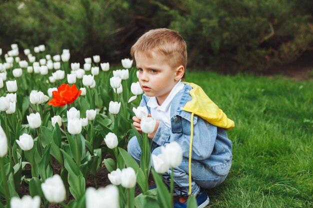 Un garçon sent une fleur de tulipe dans le parc sur un lit de fleur de printemps avec des tulipes