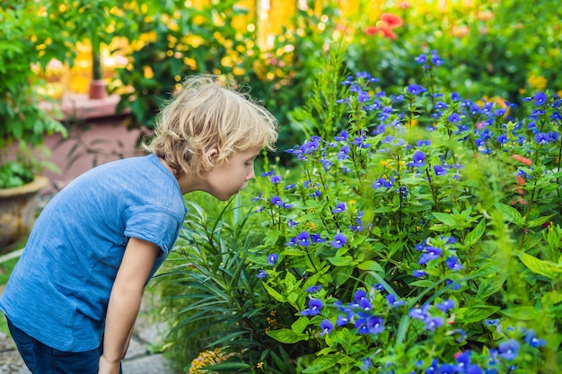 Le garçon sent un peu les fleurs bleues