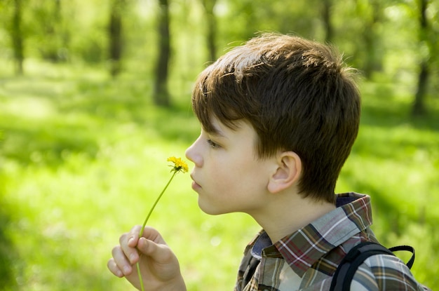 Garçon sentant une fleur de pissenlit vert fond vert flou extérieur printemps ou été