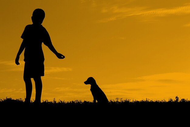 Photo un garçon en silhouette avec un chiot debout sur le champ contre le ciel au coucher du soleil