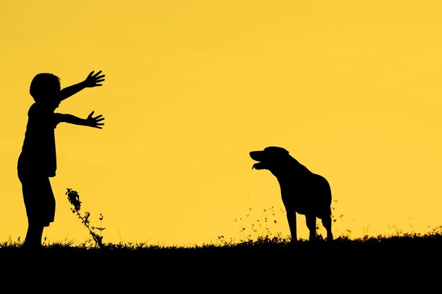 Photo un garçon de silhouette jouant contre le ciel au coucher du soleil