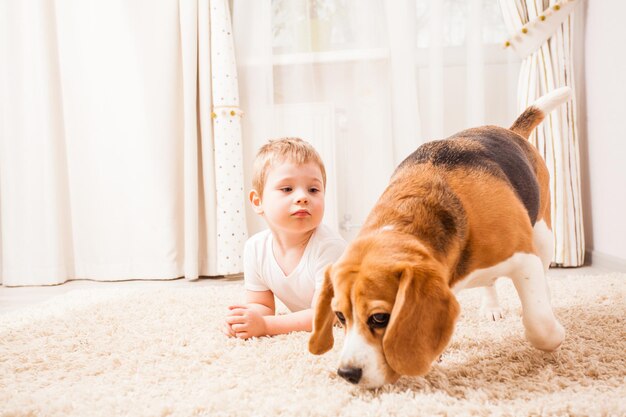 Le garçon avec son chien se repose à la maison