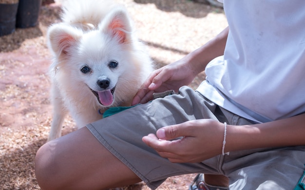 Un garçon et son chien