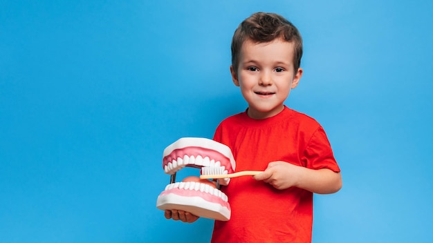 Un garçon souriant avec des dents saines tient une grande mâchoire et une brosse à dents dans ses mains sur un fond bleu isolé Hygiène bucco-dentaire Dentisterie pédiatrique Règles pour se brosser les dents Une place pour votre texte