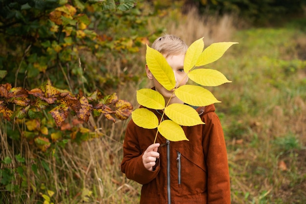 Le garçon tient une branche jaune avec des feuilles devant son visage