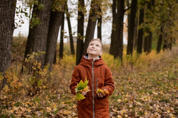 Un garçon tient des feuilles d'automne jaunes dans ses mains