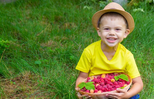 Le garçon tient un panier avec des baies mûres de framboise