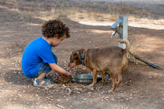 Garçon tirant de l'eau d'une fontaine animale pour donner à boire à son petit chien