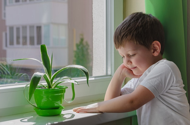 Un garçon triste veut marcher dans la rue, l'enfant est assis près de la fenêtre et le regarde tristement. Quarantaine (auto-isolement) en raison d'une infection à coronovirus