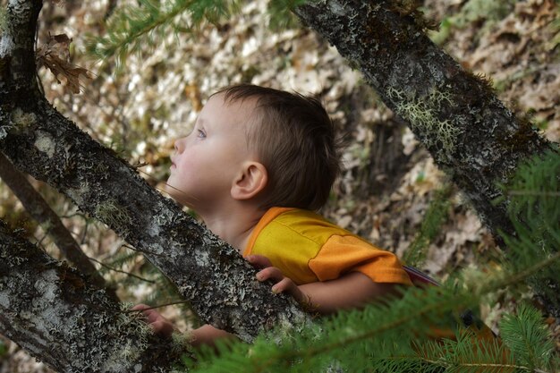 Photo le garçon sur le tronc de l'arbre