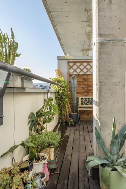 Garde-corps de la terrasse d'un grenier plein de plantes