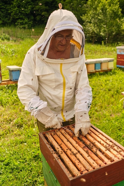 Photo gardien d'abeilles