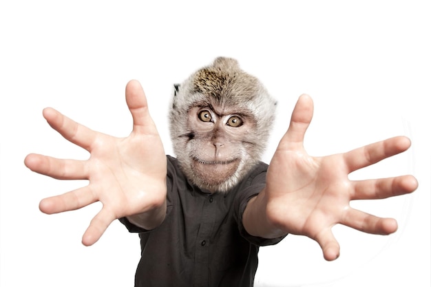 Photo un gars heureux avec la tête d'un singe tire ses mains isolées