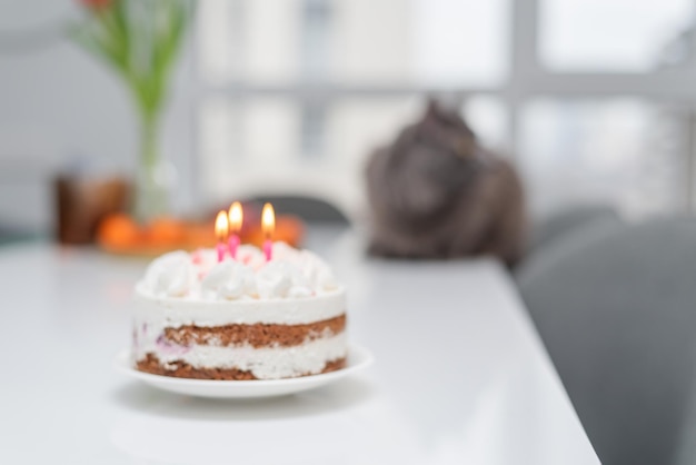 Un gâteau d'anniversaire avec des bougies roses Un gâteau au fromage avec des framboises