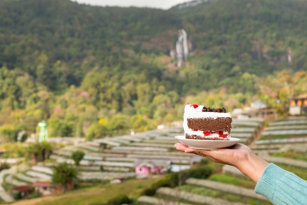 Gâteau sur une assiette blanche à portée de main