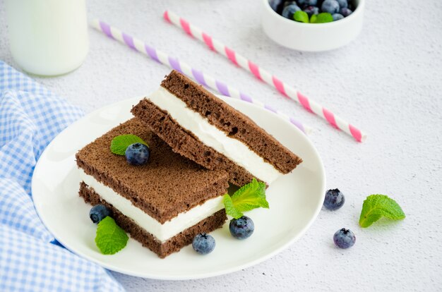 Gâteau au chocolat avec de la crème de lait sur une assiette blanche avec des bleuets frais et de la menthe