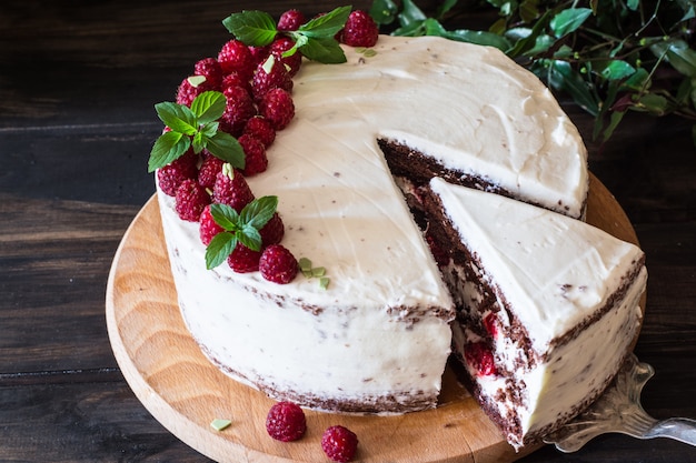 gâteau aux fruits crémeux. Gâteau aux framboises au chocolat. Gateau au chocolat. Décor à la menthe. Cheesecake.