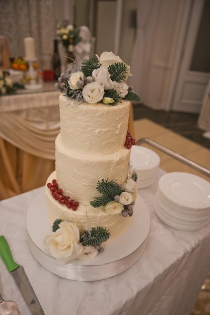 Un gâteau blanc à trois niveaux se dresse sur la table de mariage 2521