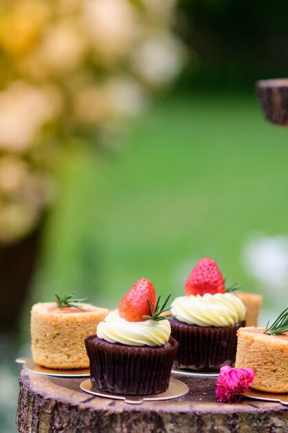 Photo gâteau dans le jardin