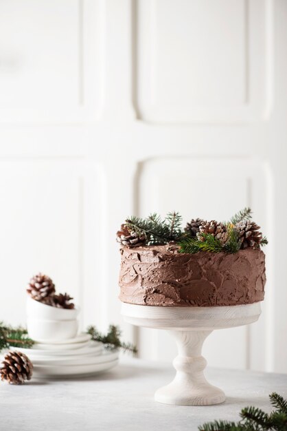 Gâteau de Noël au chocolat décoré de pommes de pin et de pin sur fond clair