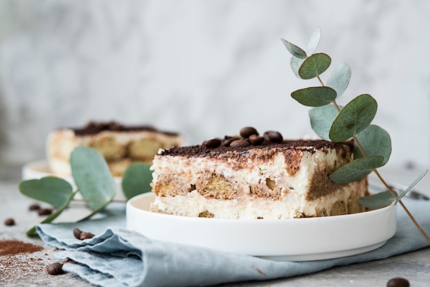 Gâteau tiramisu fait maison. Dessert italien classique