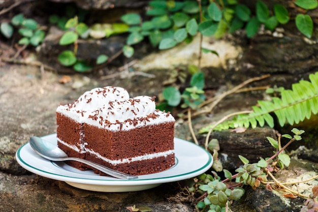 gâteaux au chocolat dans le jardin