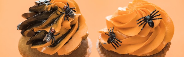 Des gâteaux d'Halloween, des araignées et des oranges.