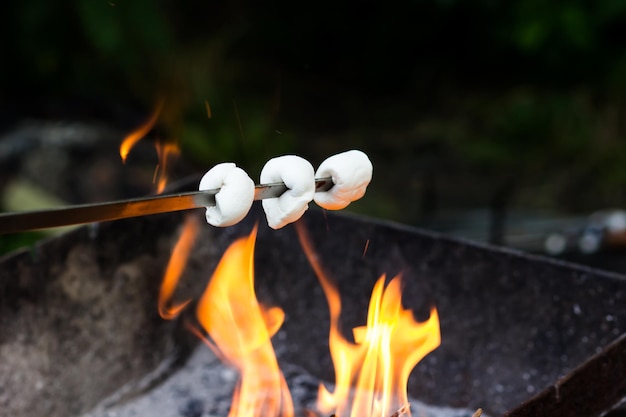 Gâteries pour les enfants sur le bûcher Fried Marshmallow