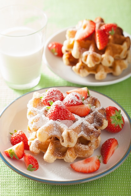 Gaufres belges avec sucre glace et fraise